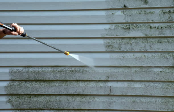 Best Dumpster Area Cleaning  in Bottineau, ND